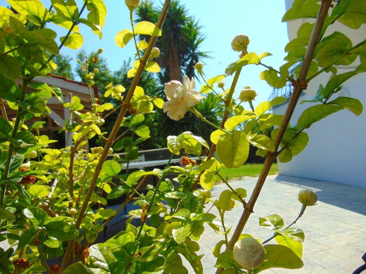 Villa Giovanni Faliraki Luaran gambar